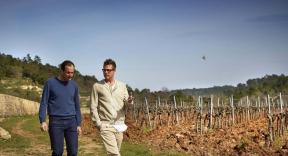 Sparkling: The Story of Champagne